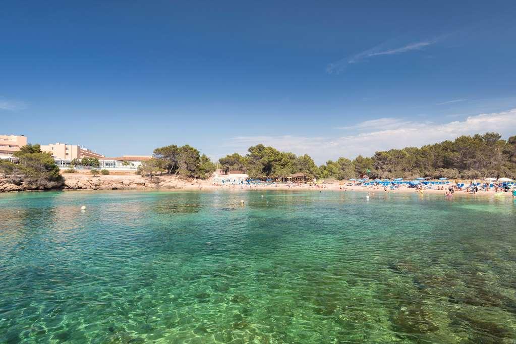 Occidental Ibiza Hotel Port des Torrent Natur billede